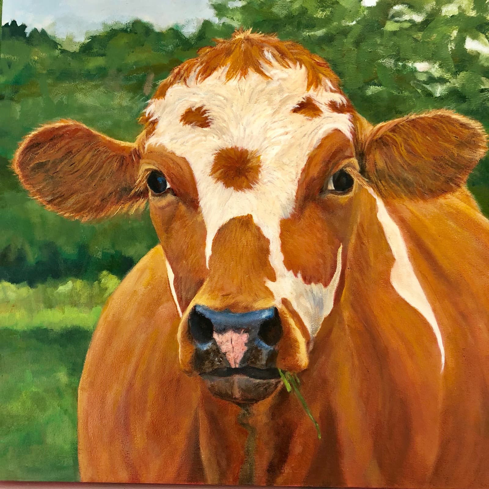 Cattle Portrait — Ginger