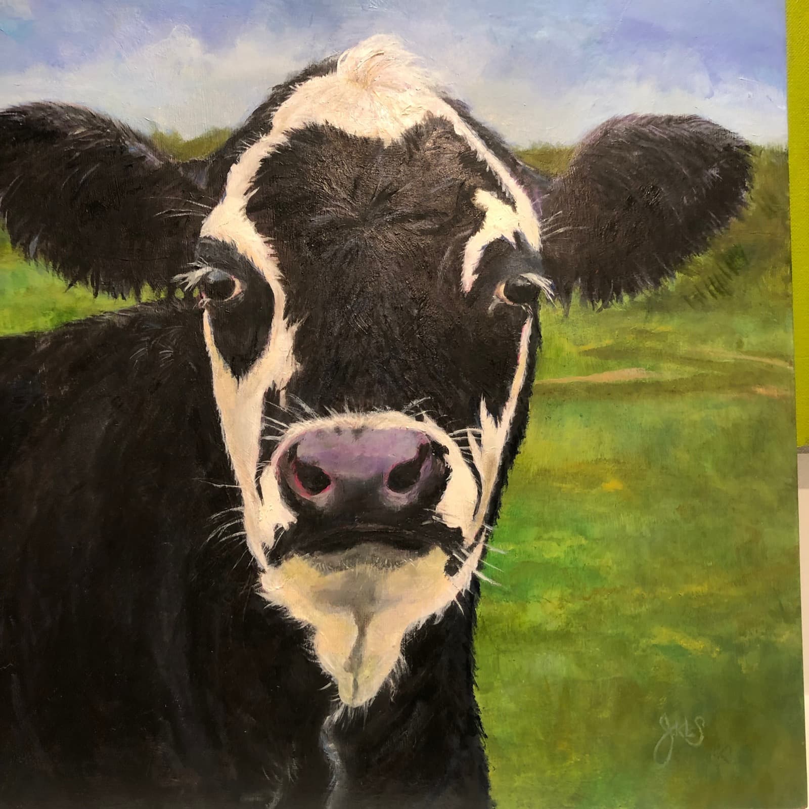 Cattle Portrait — Holstein