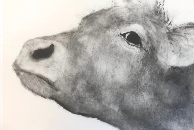 Monotype — Cattle series II