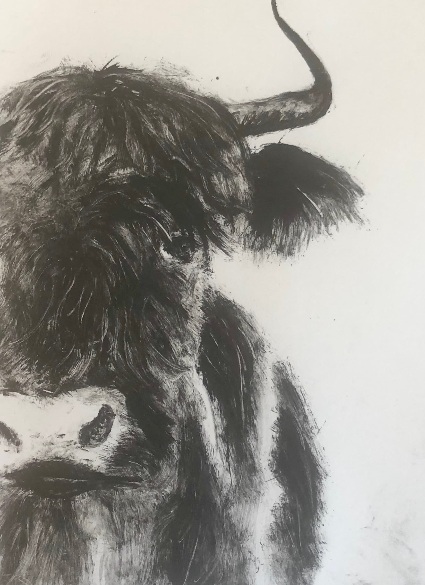 Monotype — Cattle series III